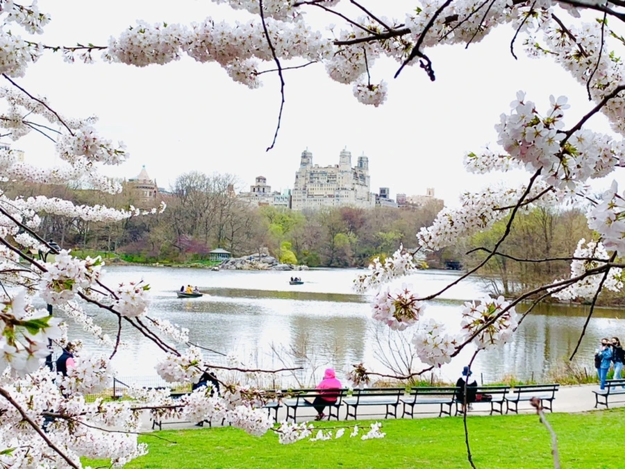 IMG_9839.jpg?type=w966