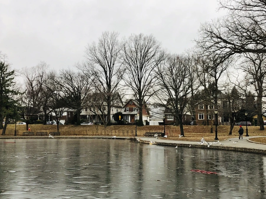 IMG_9069.jpg?type=w966