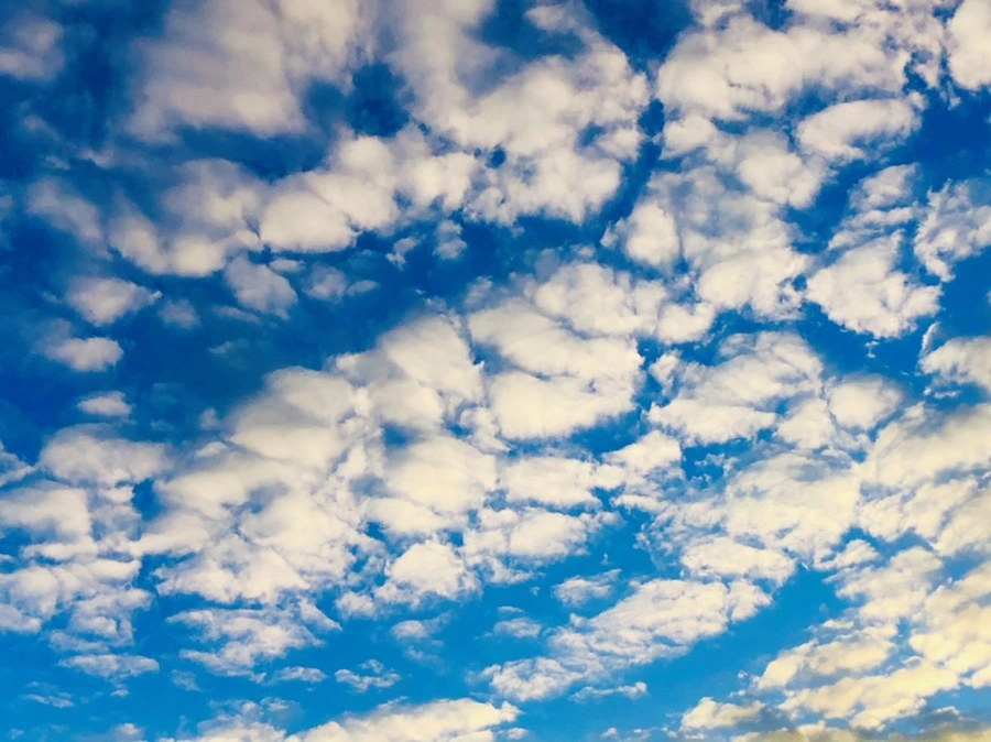 IMG_4865.jpg?type=w966