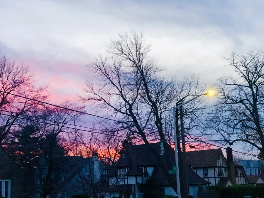 IMG_5851.jpg?type=w966