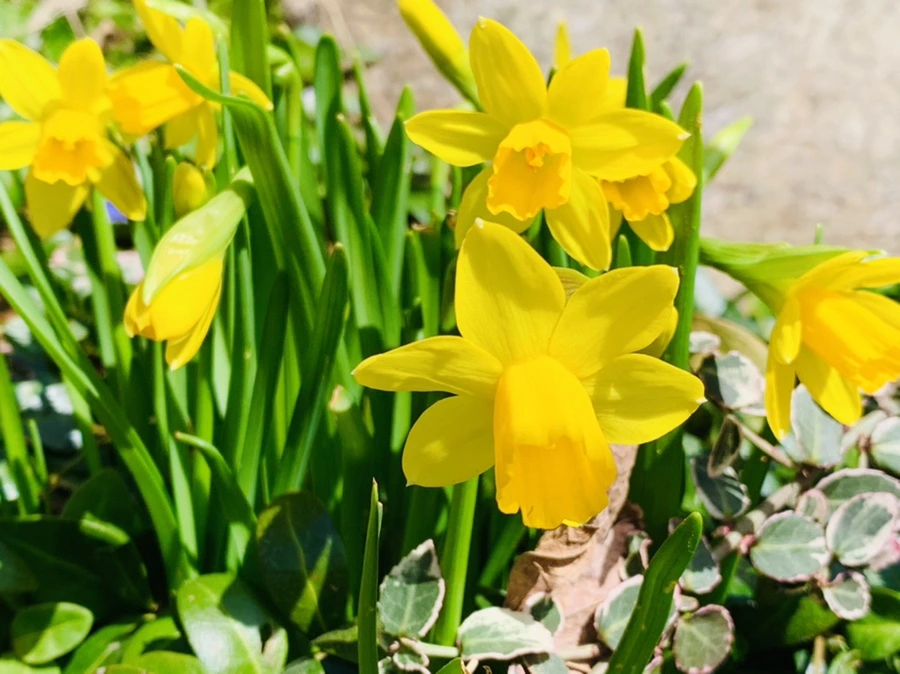 IMG_3266.jpg?type=w966