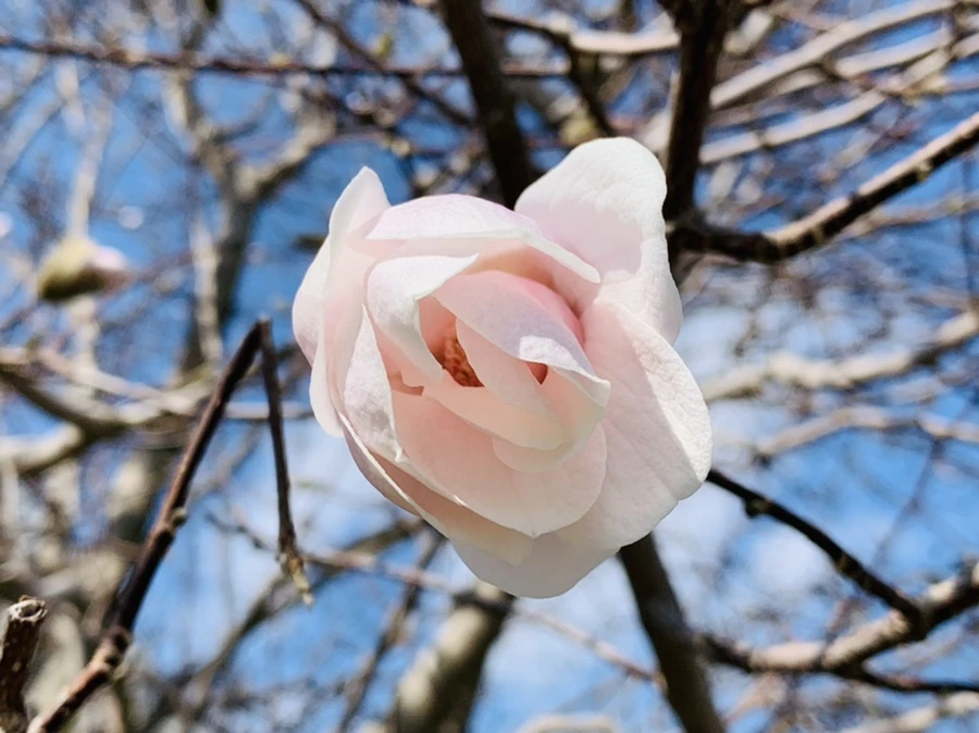 IMG_4351.jpg?type=w966