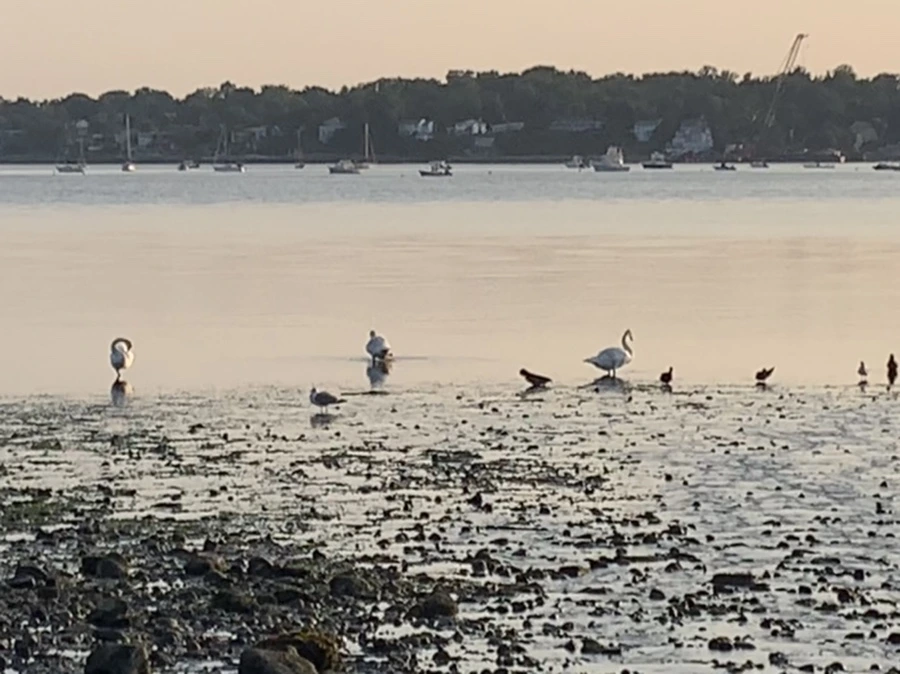 IMG_9760.jpg?type=w966