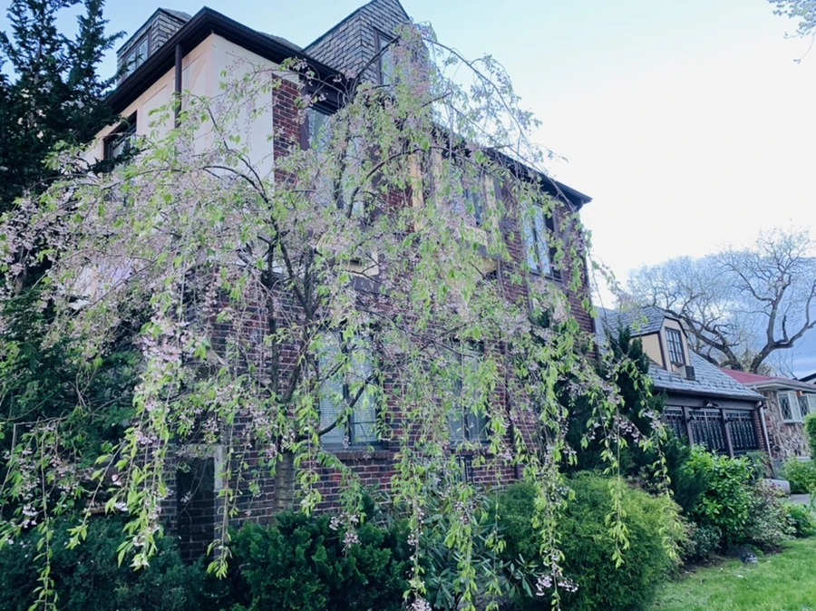 IMG_7547.jpg?type=w966