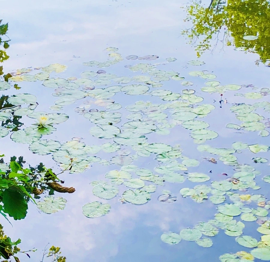 FrjwFAk8D08RUfYNlxFduY3Nxu8