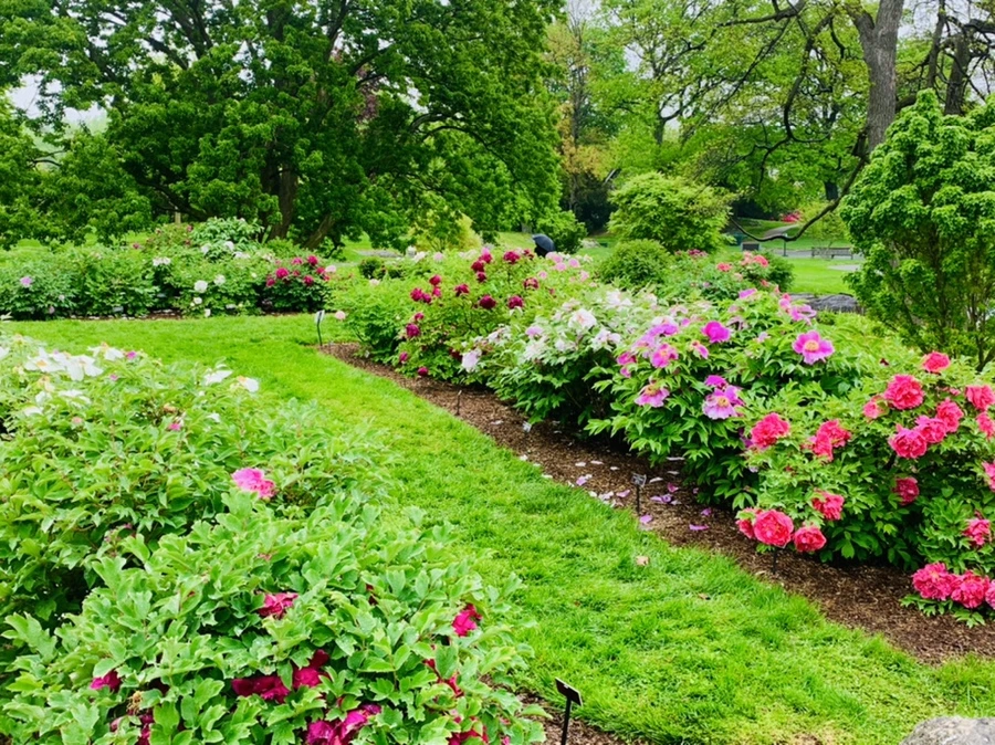 IMG_9990.jpg?type=w966