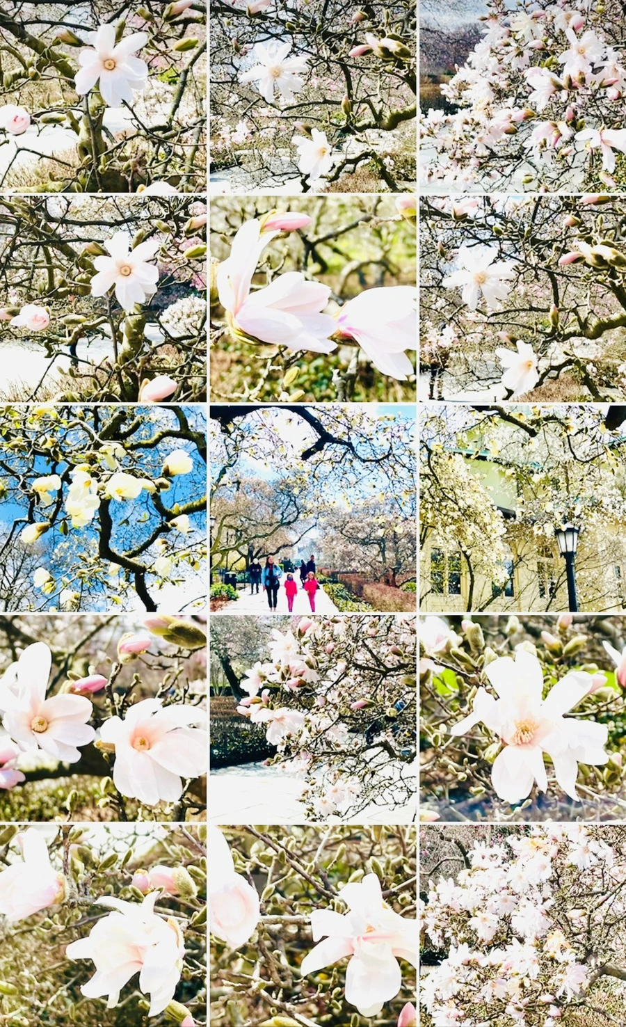 IMG_7305.jpg?type=w966