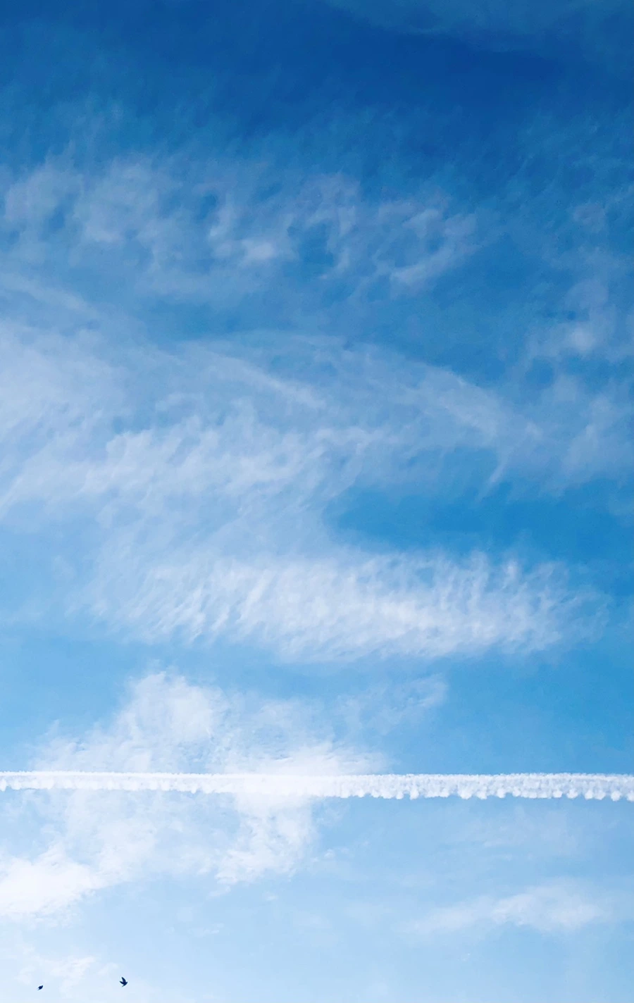 IMG_2980.jpg?type=w966