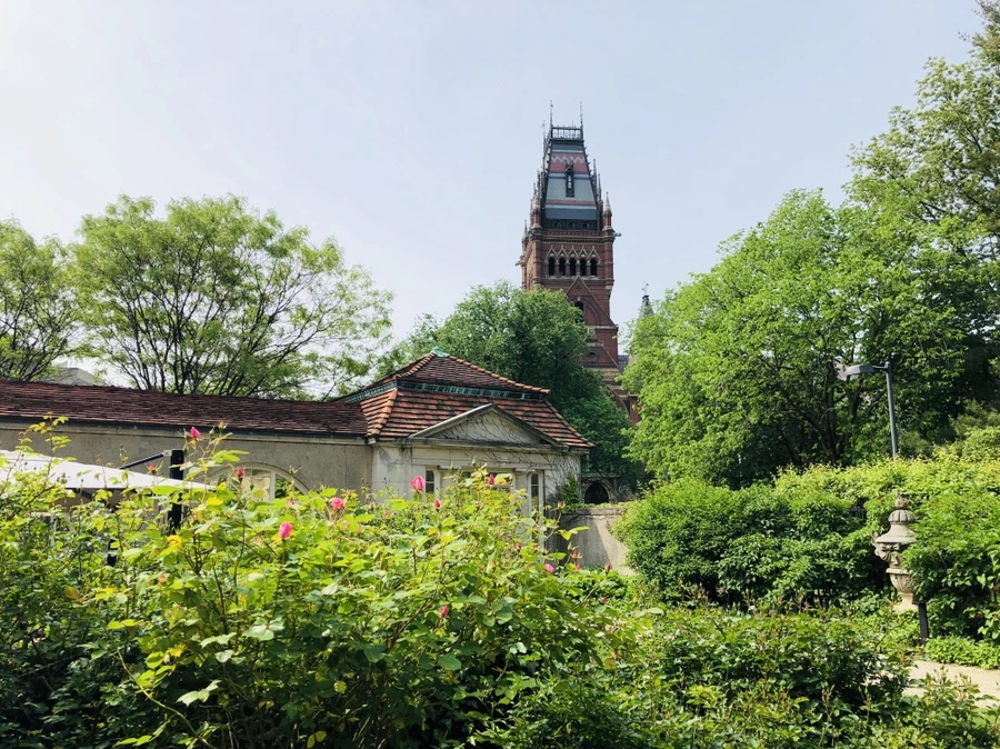 oALhOtOBKpZek98yWuVTcCcqOoY