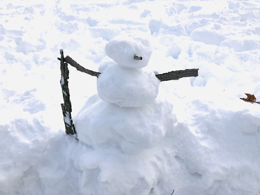 IMG_7176.jpg?type=w966