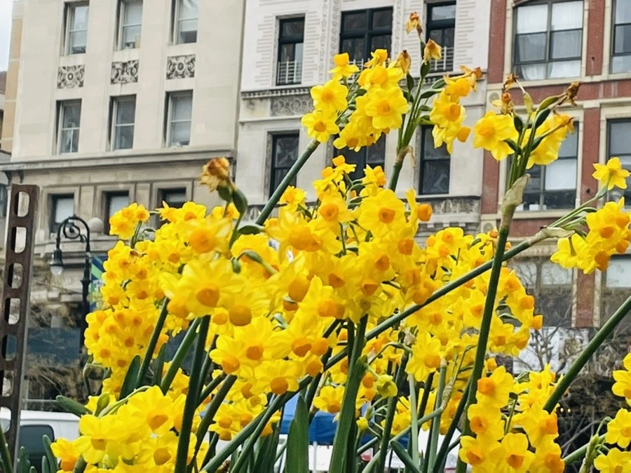 8Abcar0QbAQzWoEylSfZIt0IgFs