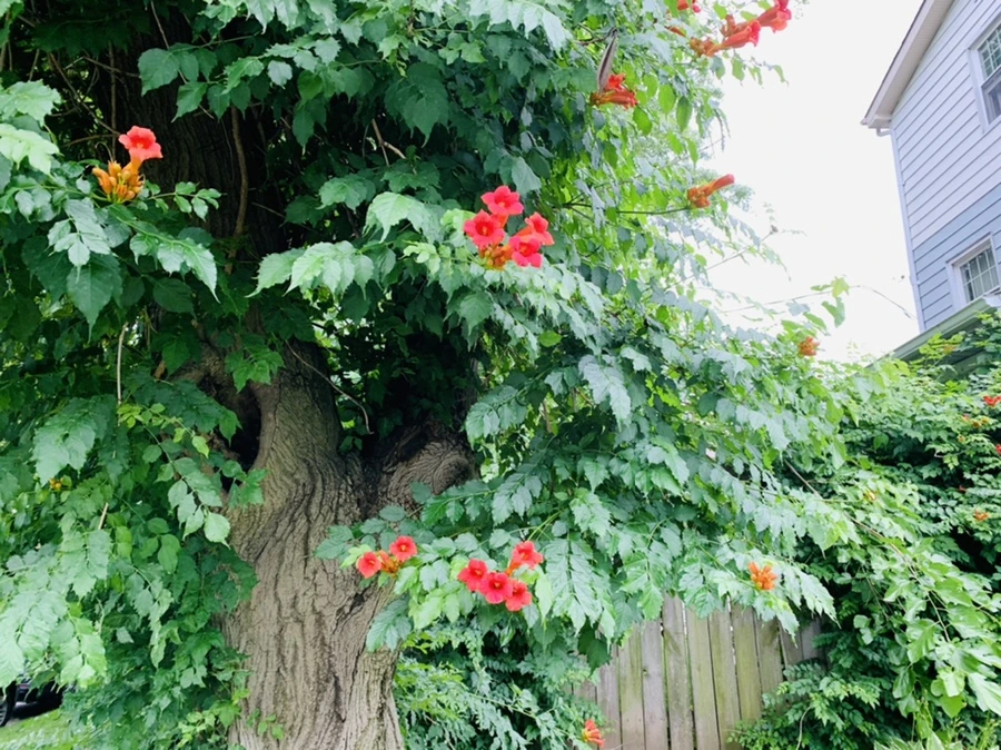 IMG_6935.jpg?type=w966