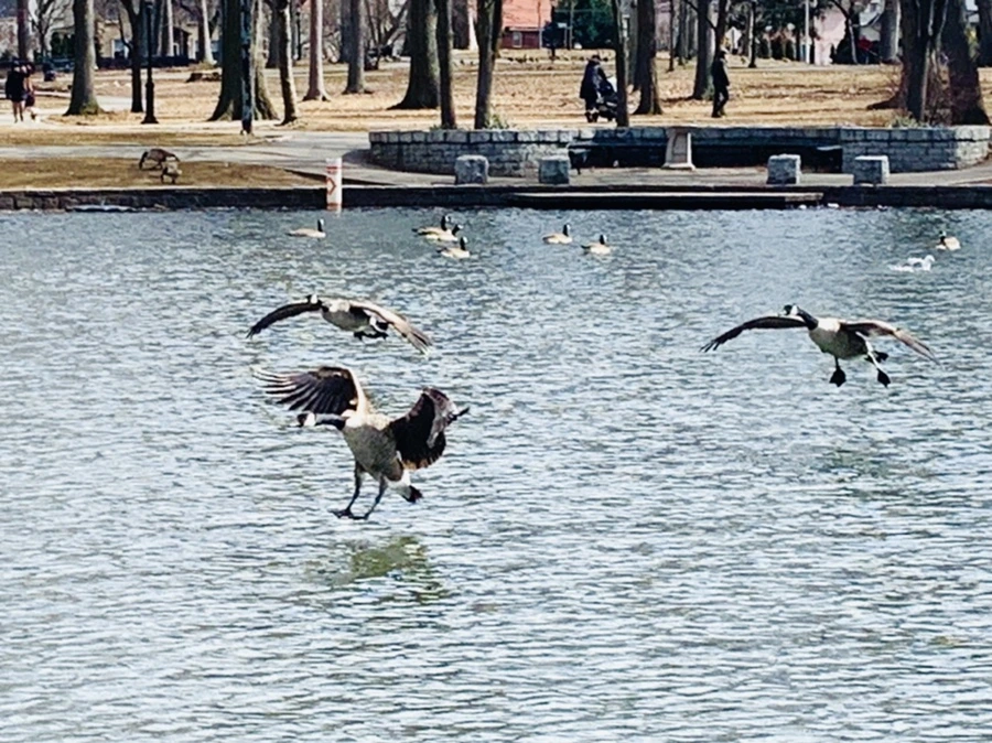 IMG_7334.jpg?type=w966