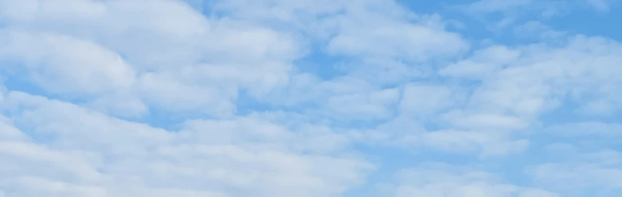 IMG_6333.jpg?type=w966