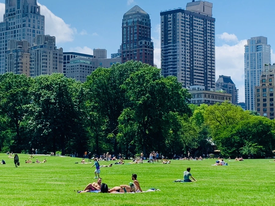 IMG_5377.jpg?type=w966