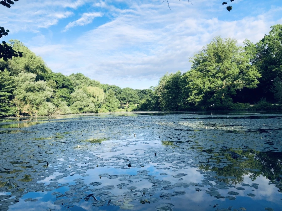 IMG_9199.jpg?type=w966