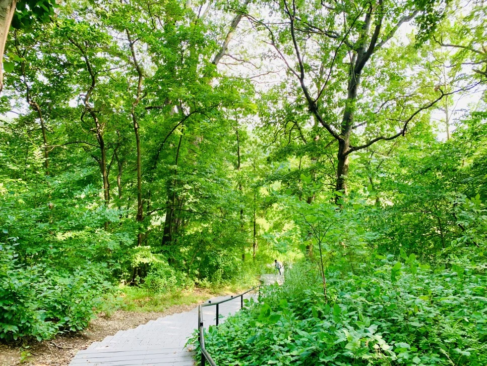 IMG_1197.jpg?type=w966