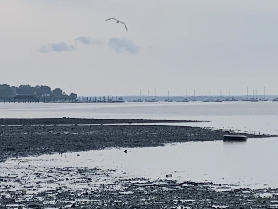 IMG_8109.jpg?type=w966