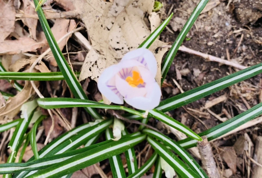 IMG_3509.jpg?type=w966