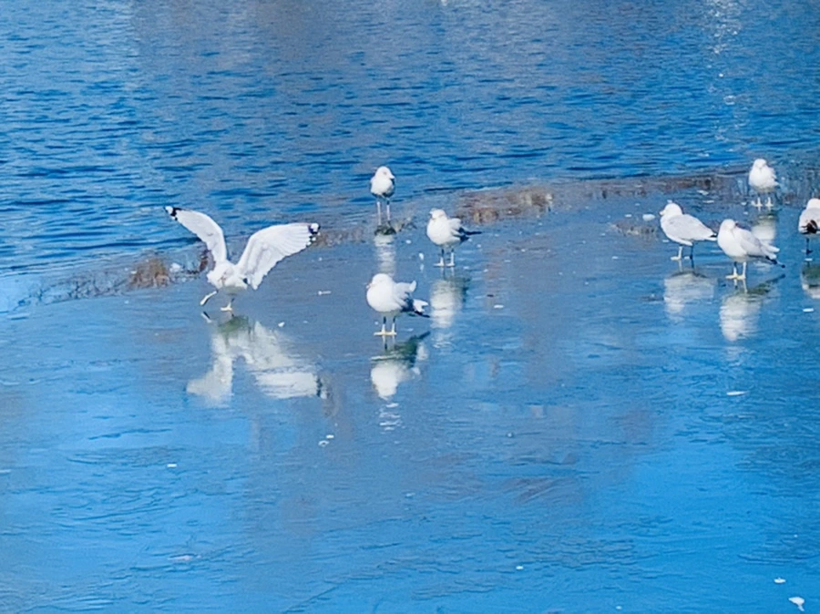 IMG_8323.jpg?type=w966