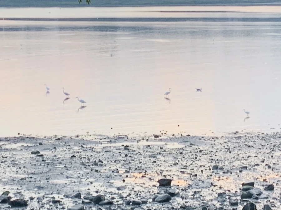 IMG_8172.jpg?type=w966