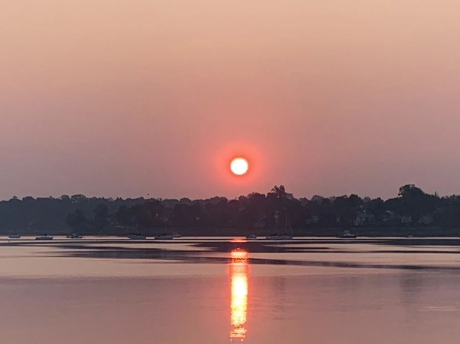 IMG_1959.jpg?type=w966