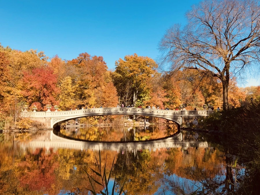 IMG_3928.jpg?type=w966