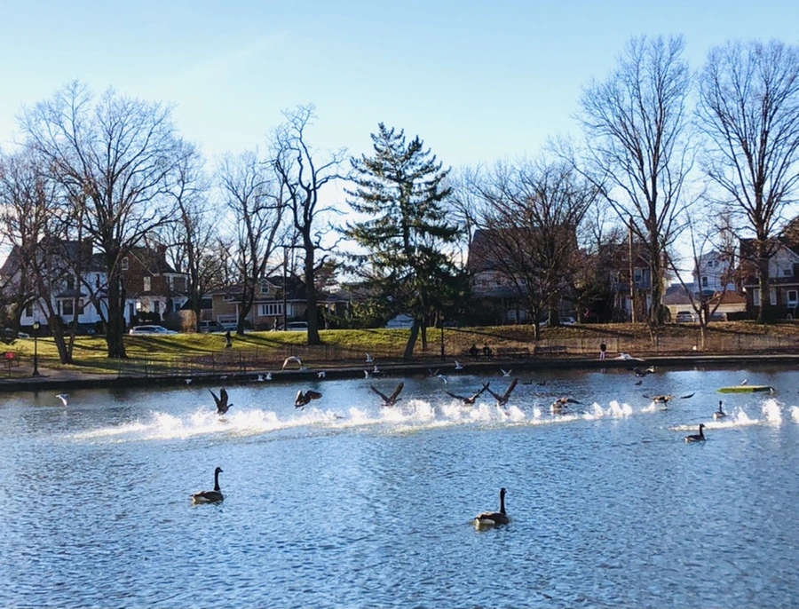 IMG_9247.jpg?type=w966