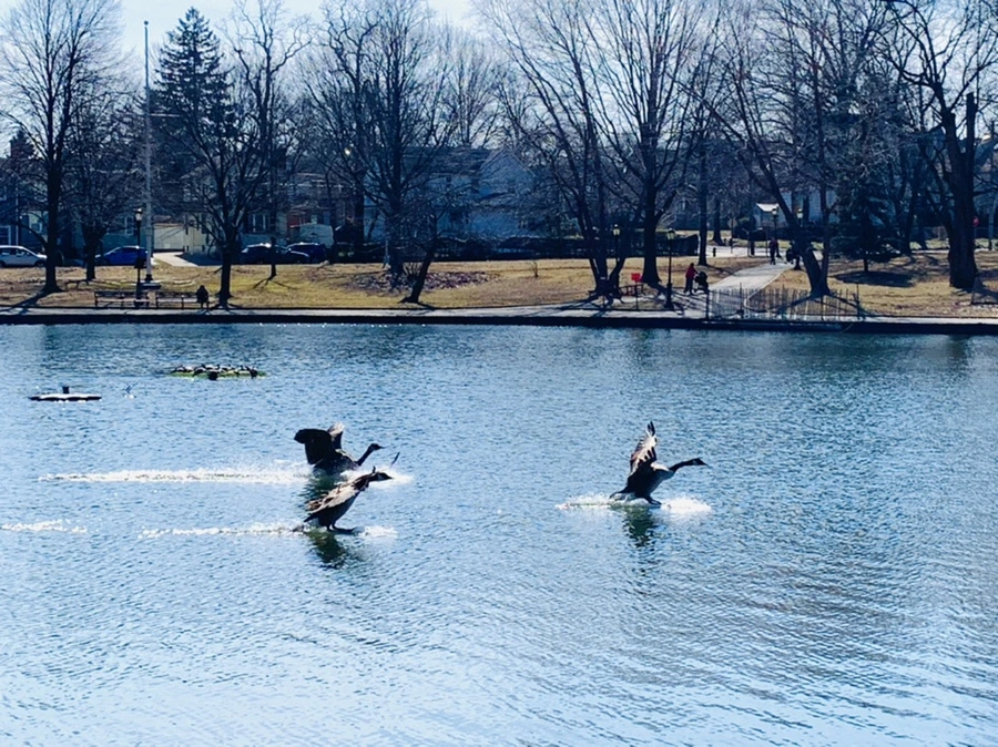 IMG_9462.jpg?type=w966