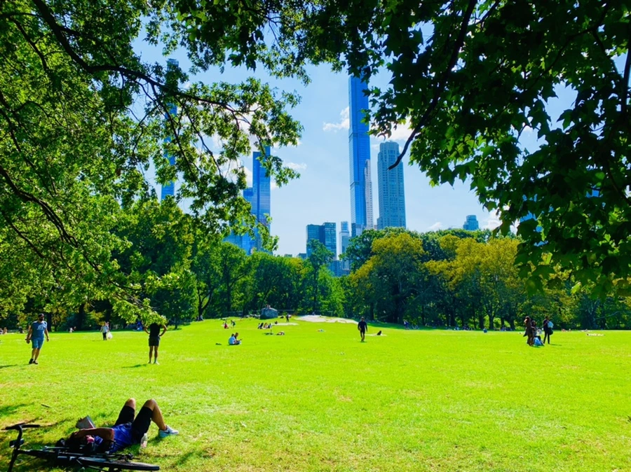 IMG_9668.jpg?type=w966