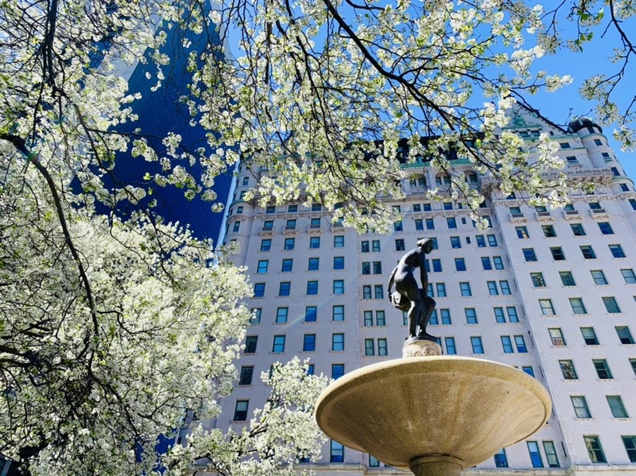 IMG_1613.jpg?type=w966