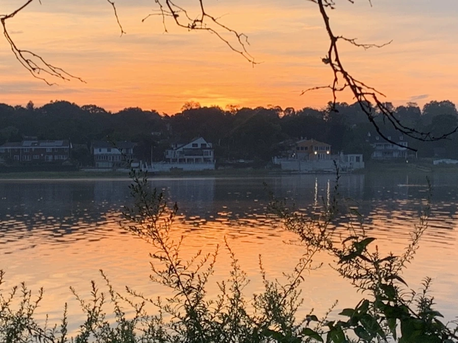 IMG_6790.jpg?type=w966