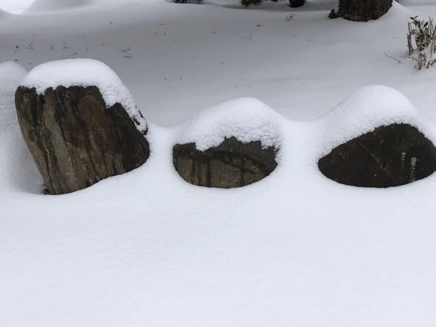 IMG_3602.jpg?type=w966