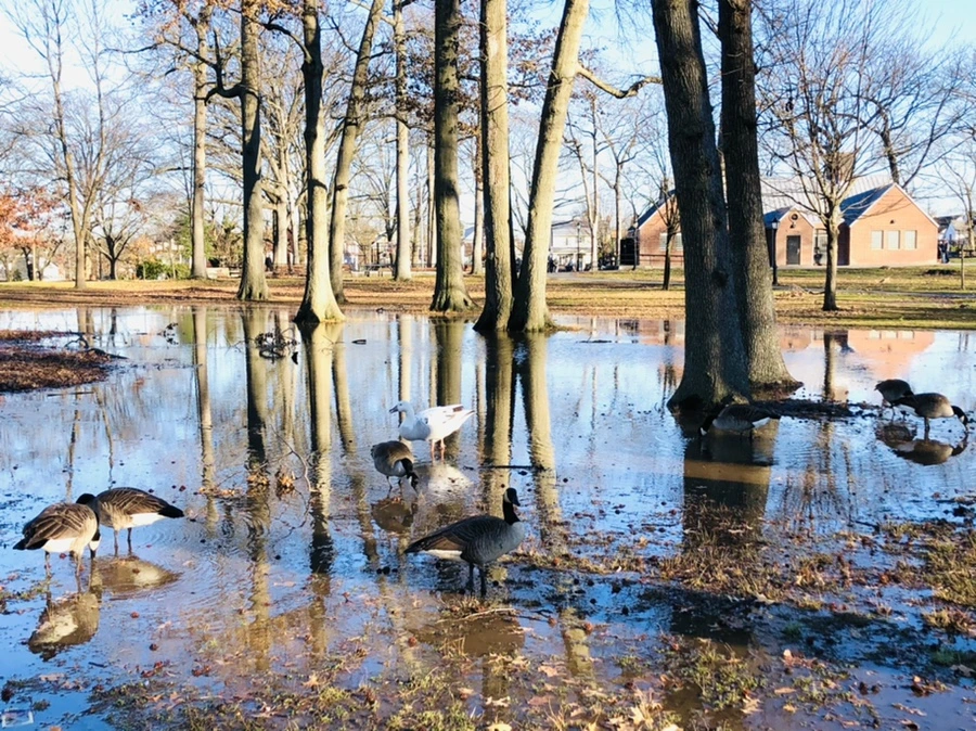 IMG_9277.jpg?type=w966