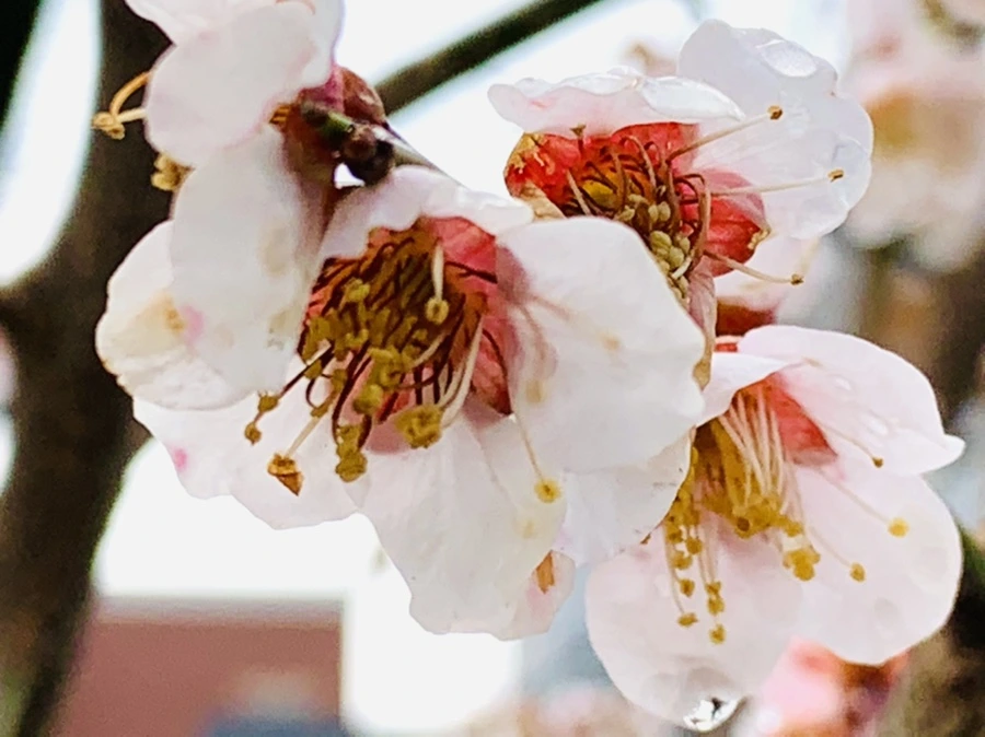 IMG_3947.jpg?type=w966