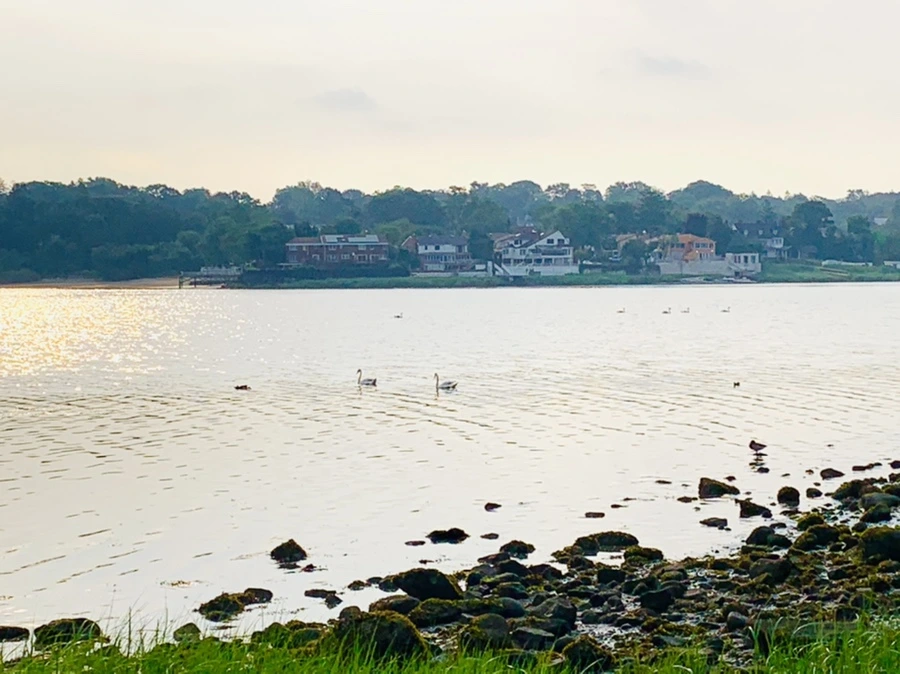 IMG_2259.jpg?type=w966