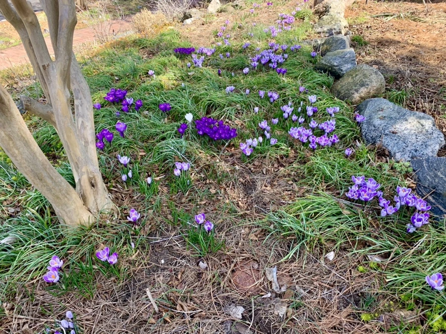 IMG_4367.jpg?type=w966