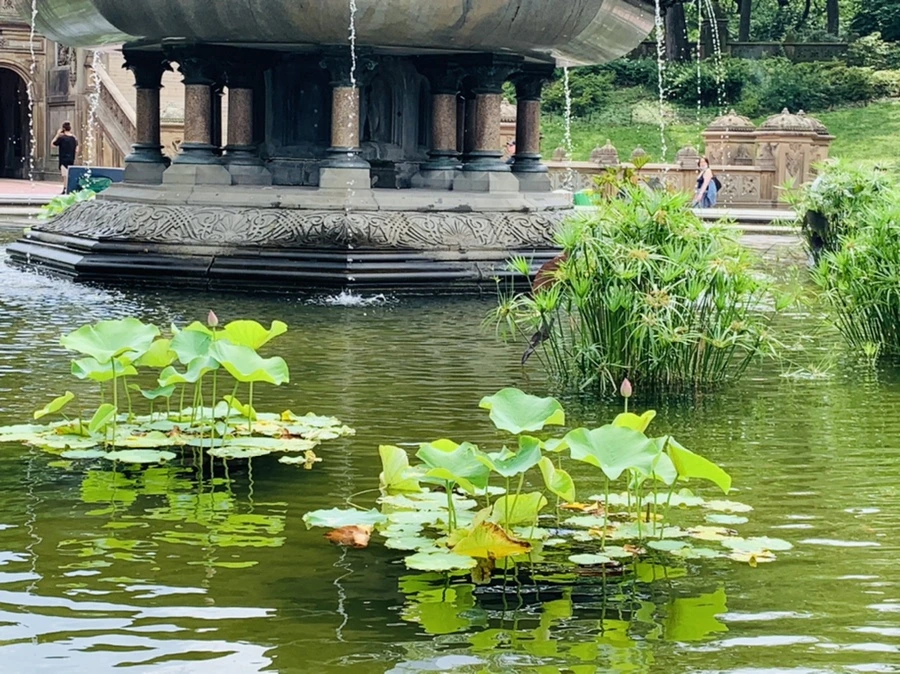 IMG_9886.jpg?type=w966