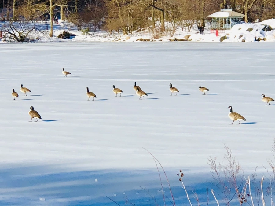 IMG_9889.jpg?type=w966