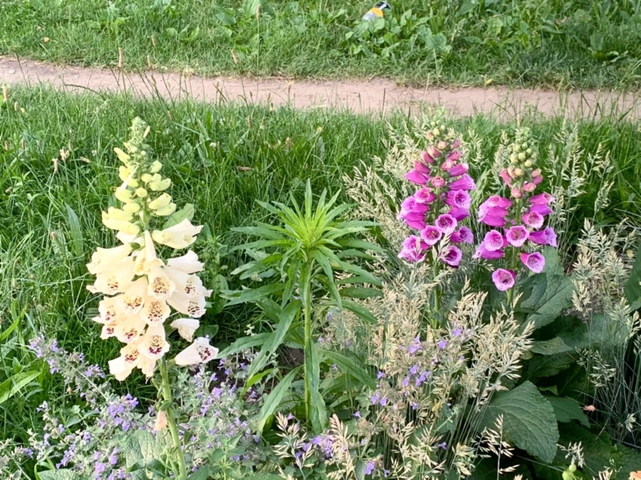 IMG_5553.jpg?type=w966