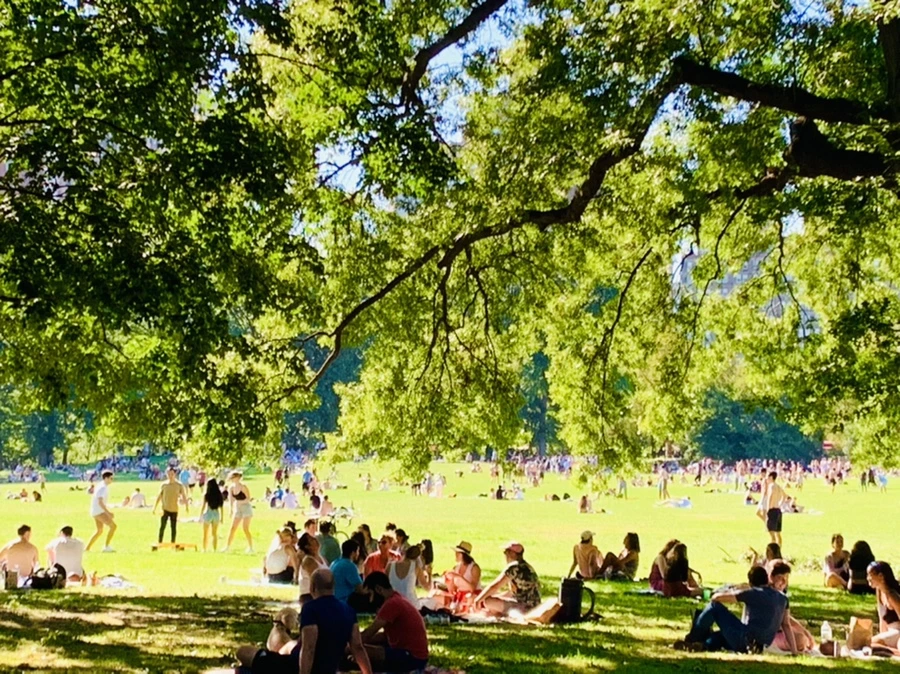 IMG_7675.jpg?type=w966