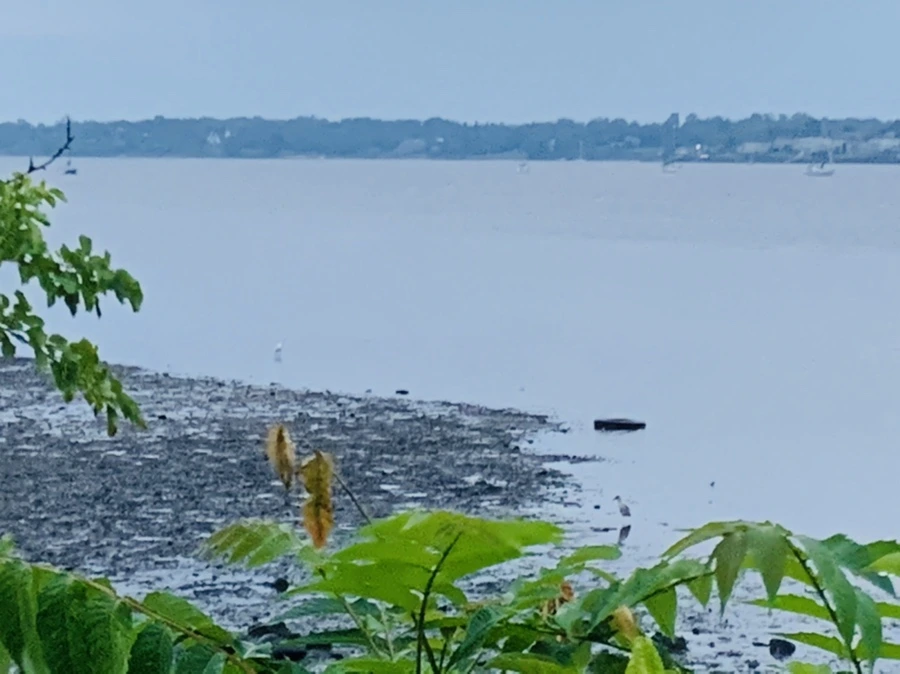 IMG_0710.jpg?type=w966