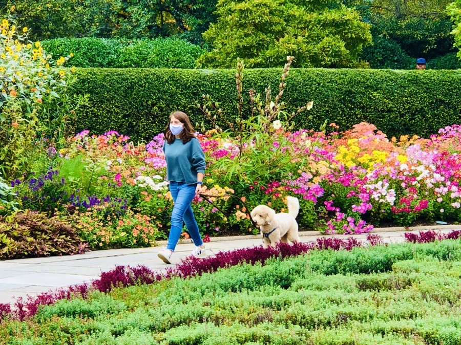 IMG_2562.jpg?type=w966