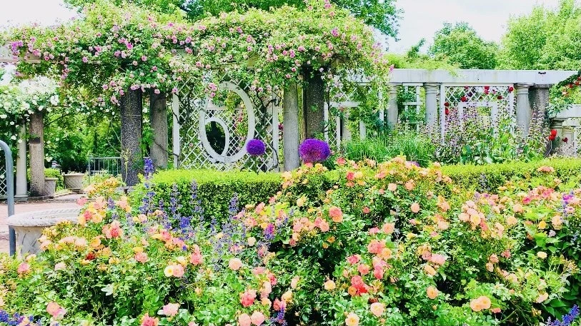 QBX5EJuwieTlvFq1Kvyjbpm6h5M