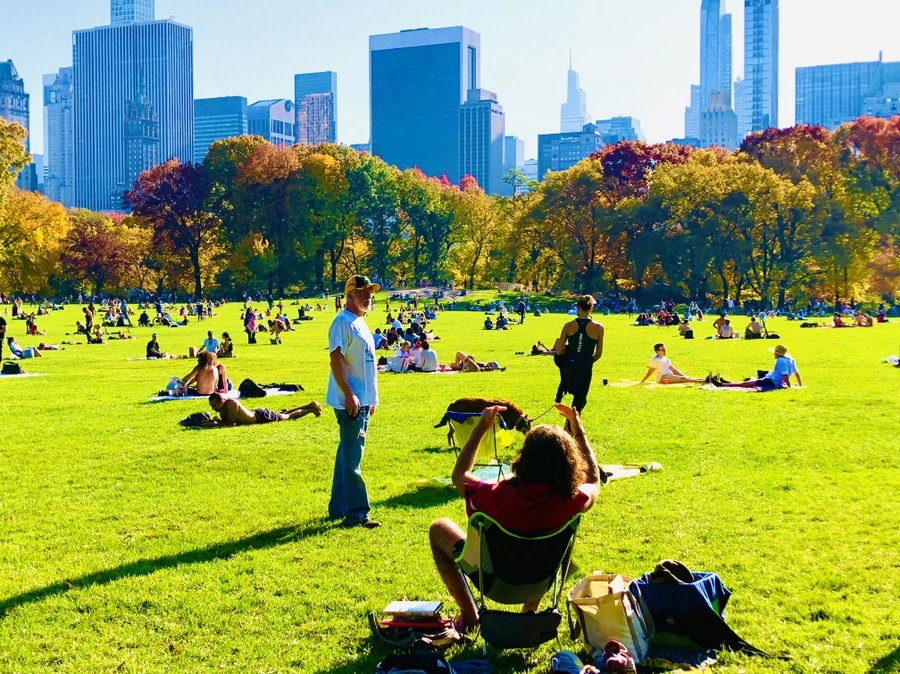 IMG_3941.jpg?type=w966