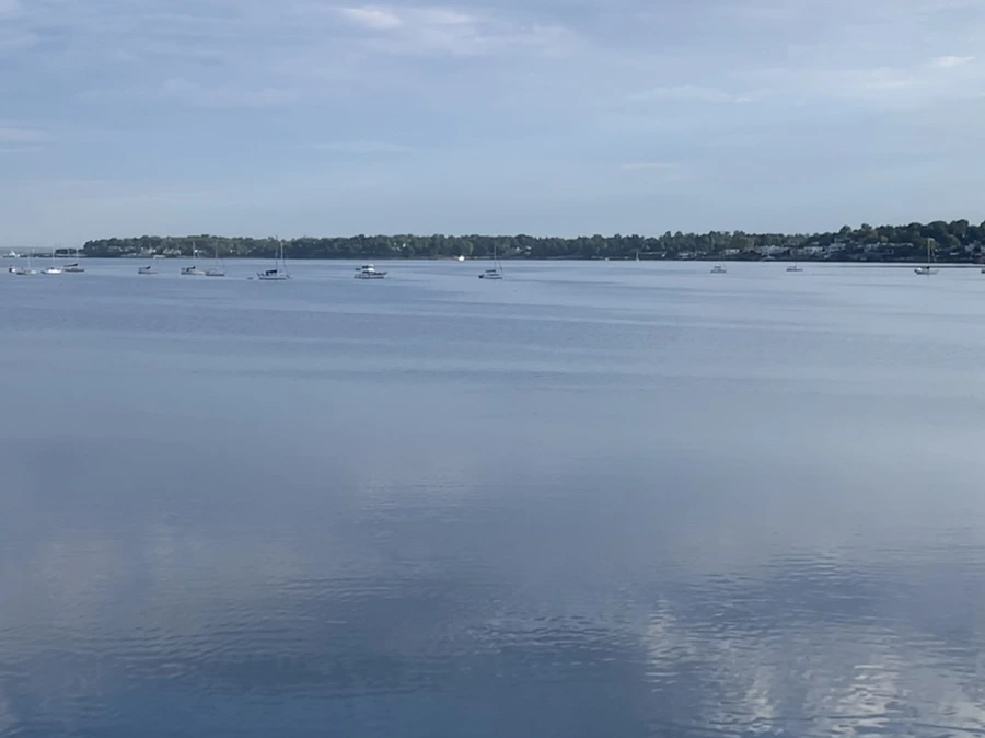 IMG_7723.jpg?type=w966