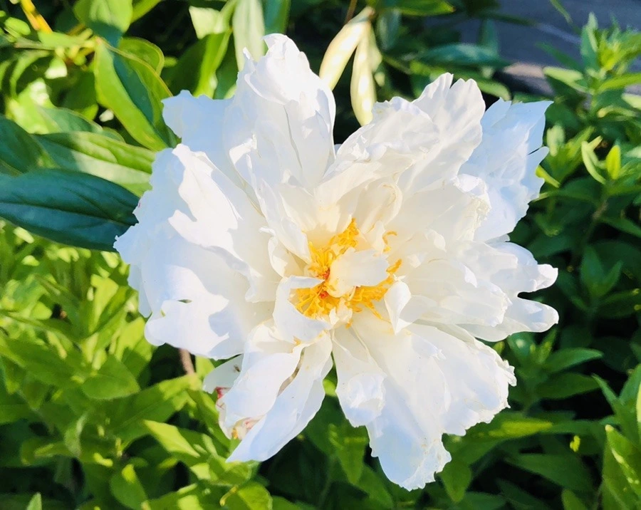 baR5rWNxAMcUk5wugje1zKQB5yk