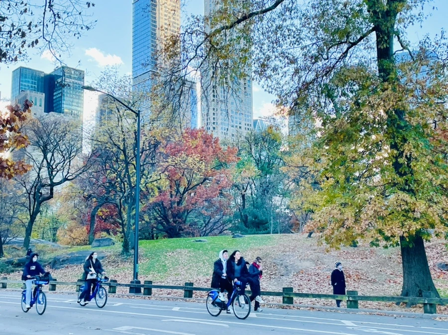 IMG_5050.jpg?type=w966