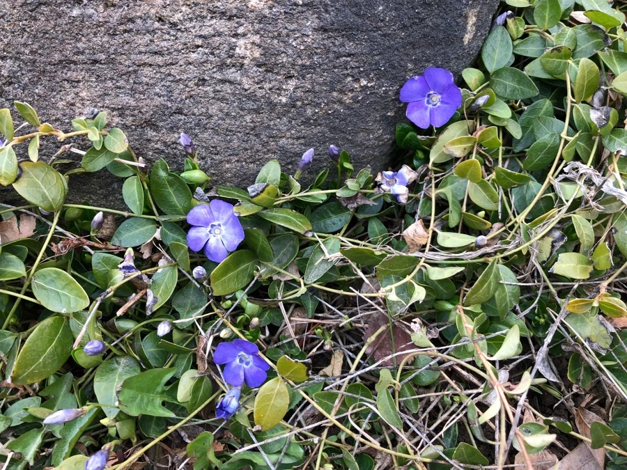 IMG_3657.jpg?type=w966