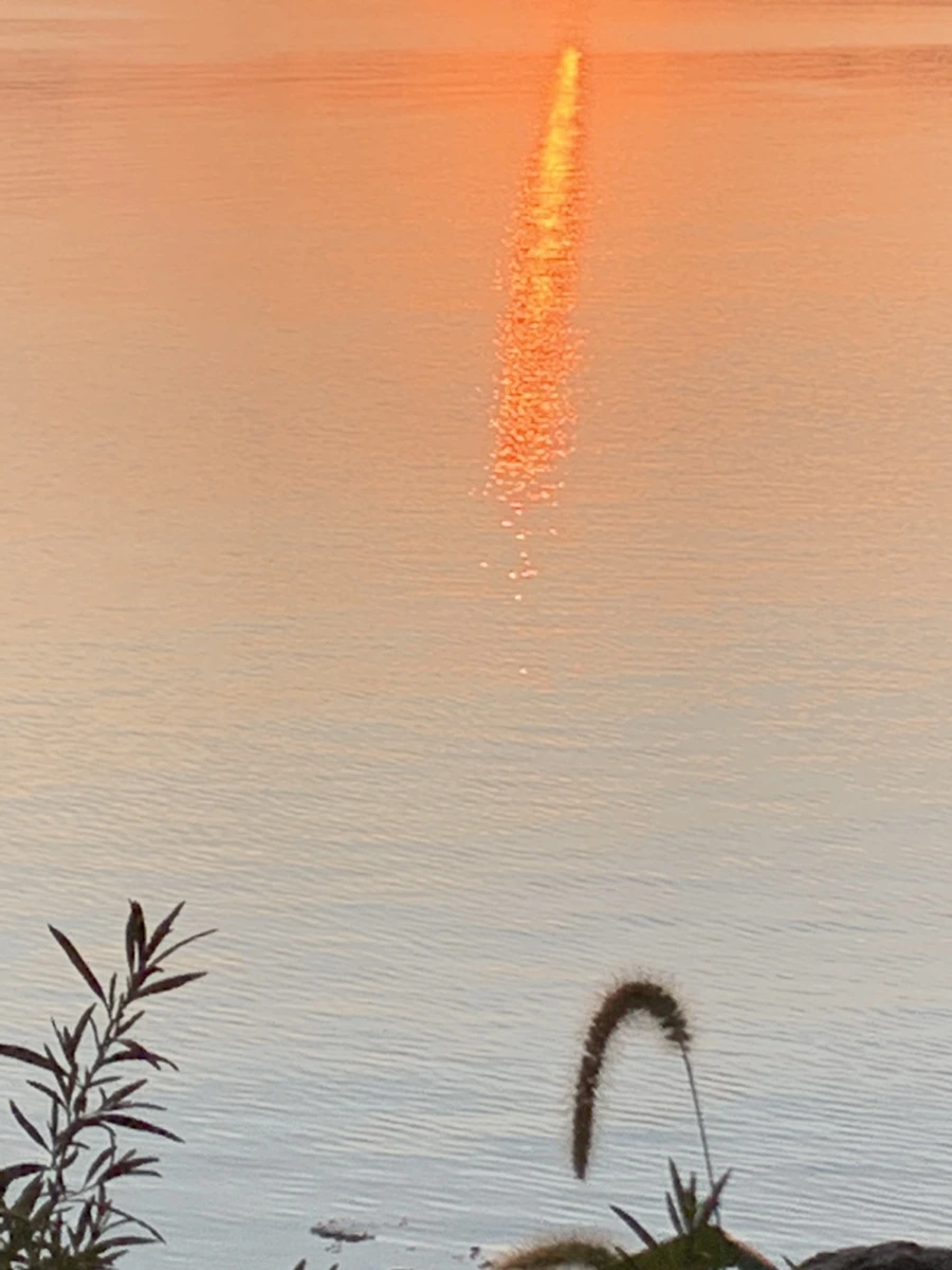 IMG_0976.jpg?type=w966